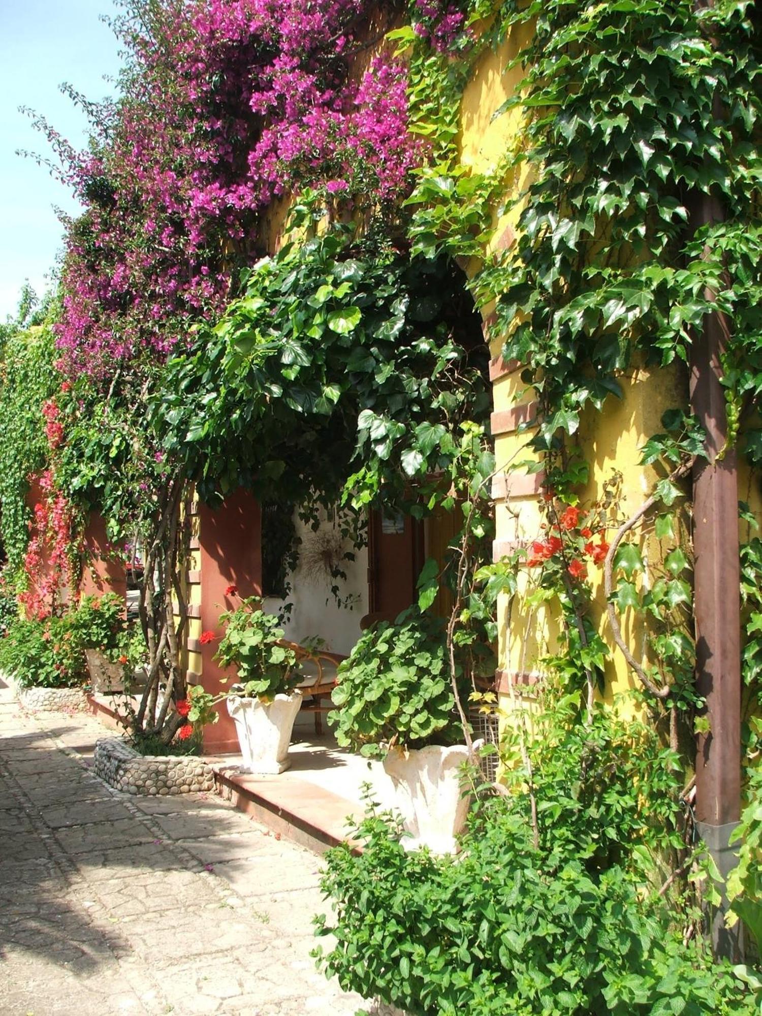 Agriturismo Posta Pastorella Vieste Rum bild